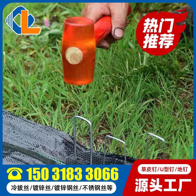 草皮釘 草皮釘型號(hào) U型釘使用方法 碳鋼地釘