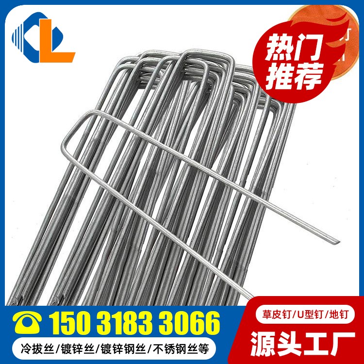 20cm長(zhǎng)草皮釘 草坪釘型號(hào) U型釘生產(chǎn)廠家 U型碼釘規(guī)格尺寸