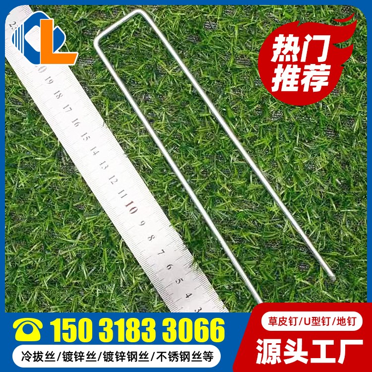 人工草場(chǎng)適合什么釘 20cm長(zhǎng)草皮釘 土工格柵U型釘規(guī)格 草坪釘子