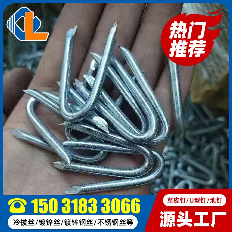 人工草場(chǎng)適合什么釘