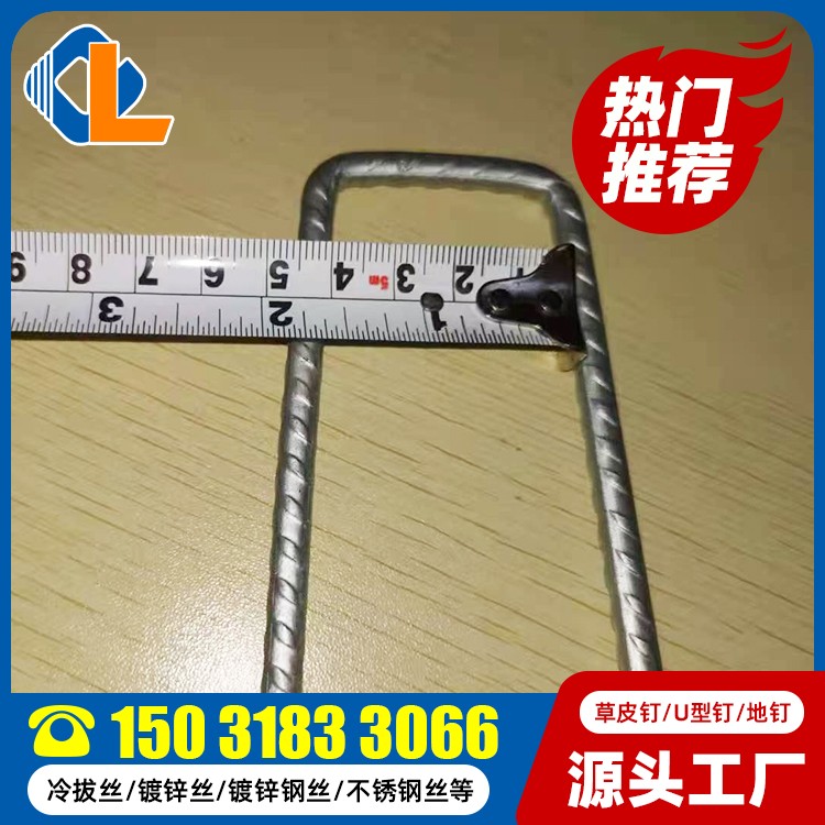 10cm長(zhǎng)草坪釘 草皮釘 U型錨釘 G型地釘